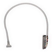 Pre-Wired Cable, for 1769-IQ32 Digital Modules, 1769-RTBN18 w. IFM 40-pin, 2A 300V, 2.5m, Allen-Bradley