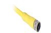 Cordset AC Micro (Dual Key), Female, Straight, 6-Pin, PVC Cable, Yellow, Braided Shield, 22AWG, Automotive Color CodedNo Connector, 5m, Allen-Bradley